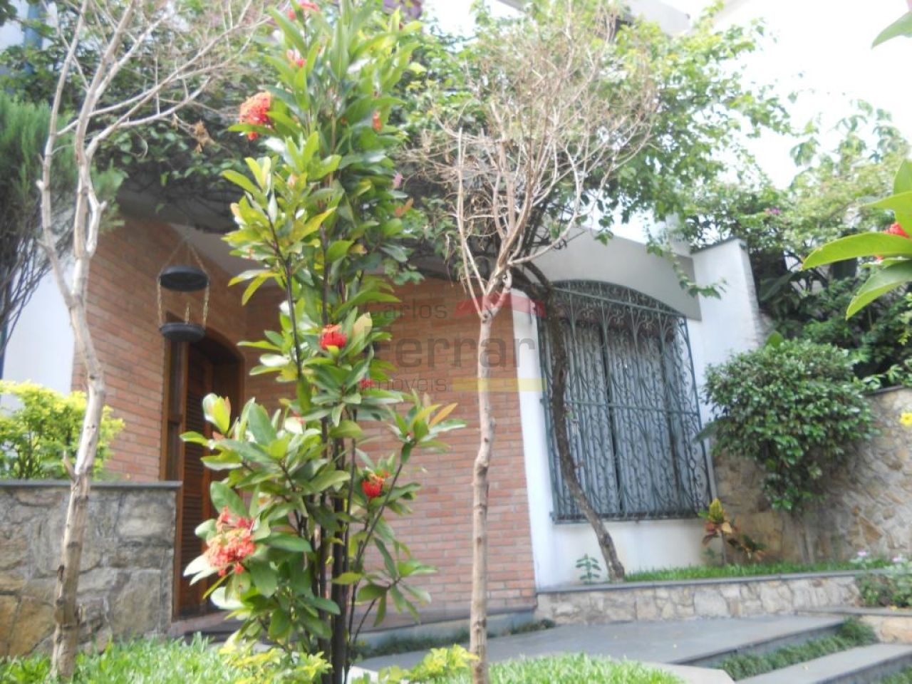 Foto 0
