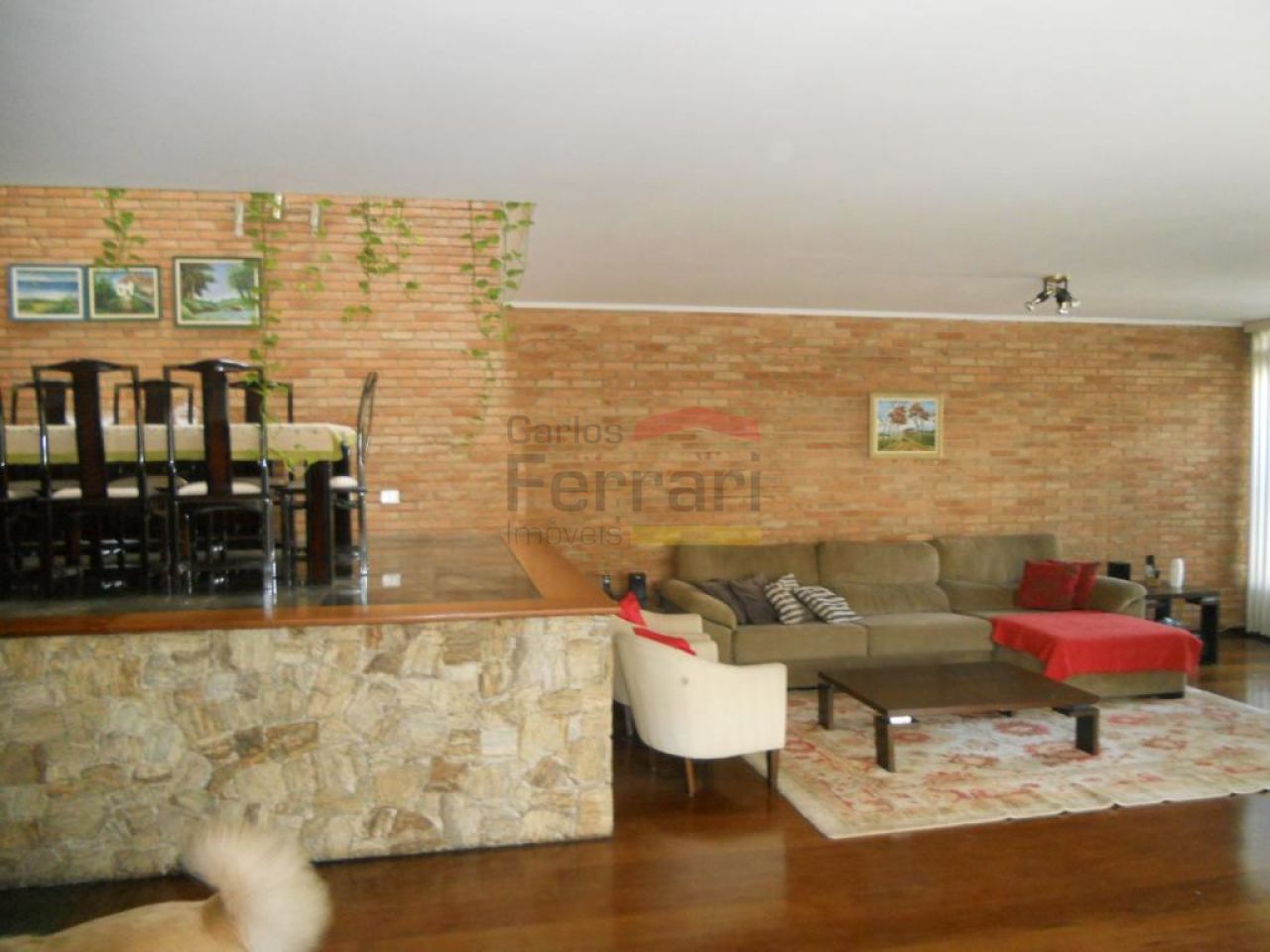 Foto 6