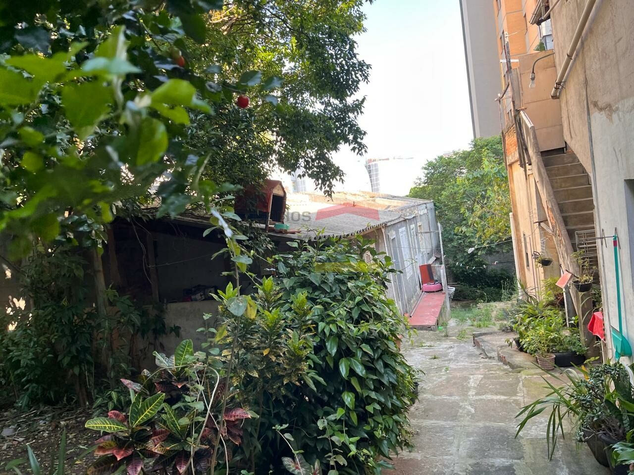 Foto 15