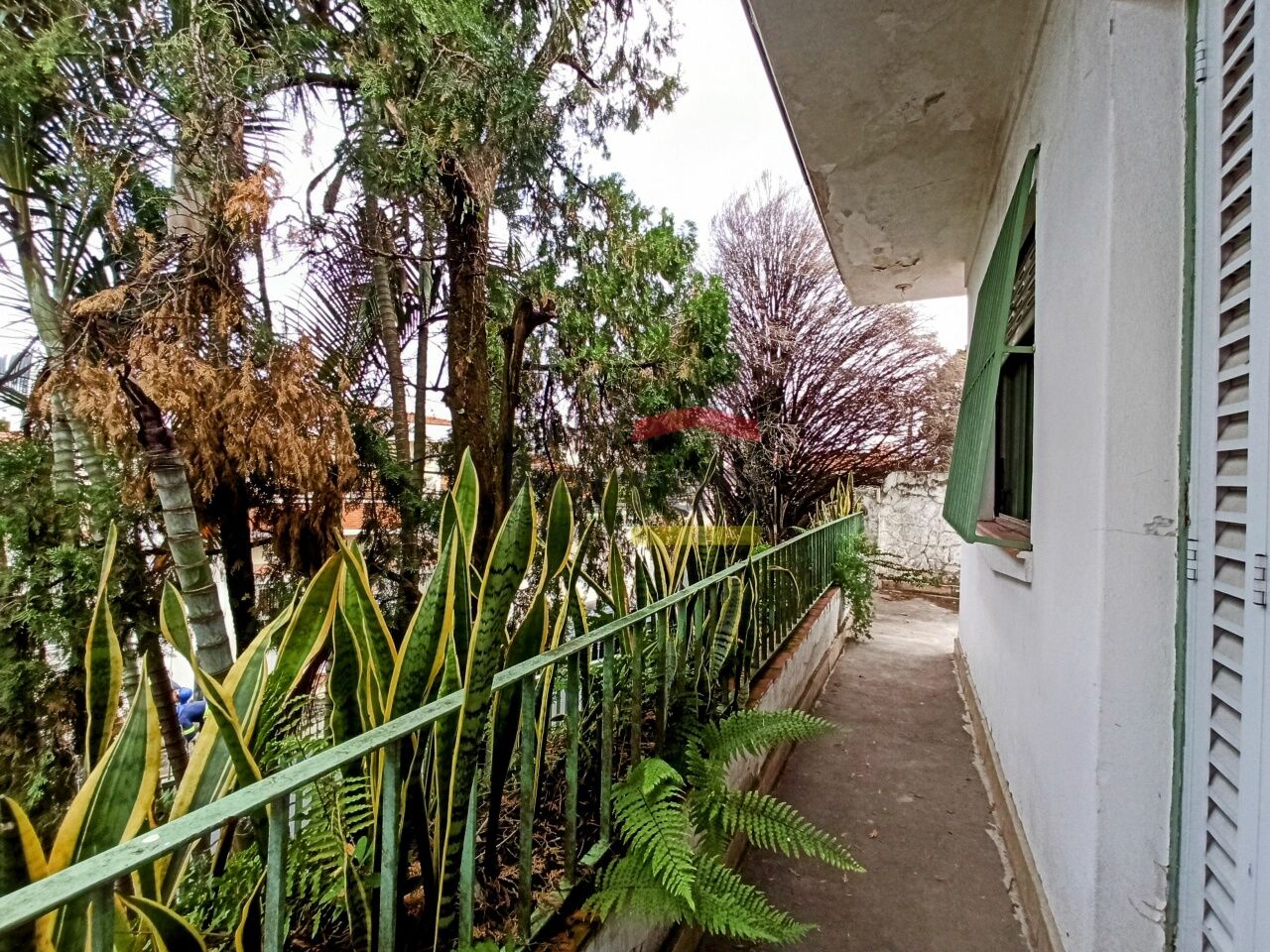 Foto 33