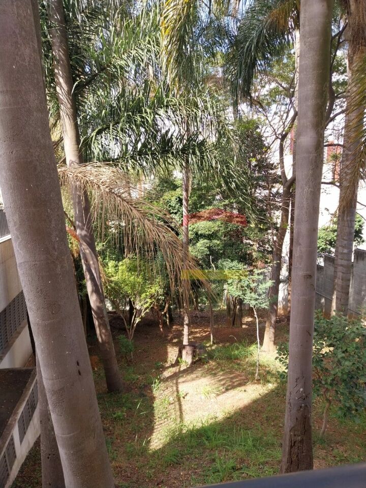 Foto 21