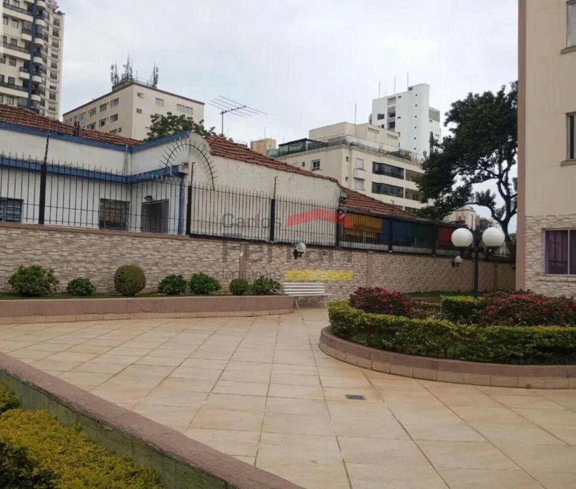 Foto 19