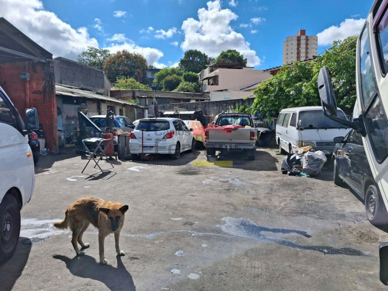 Foto 0