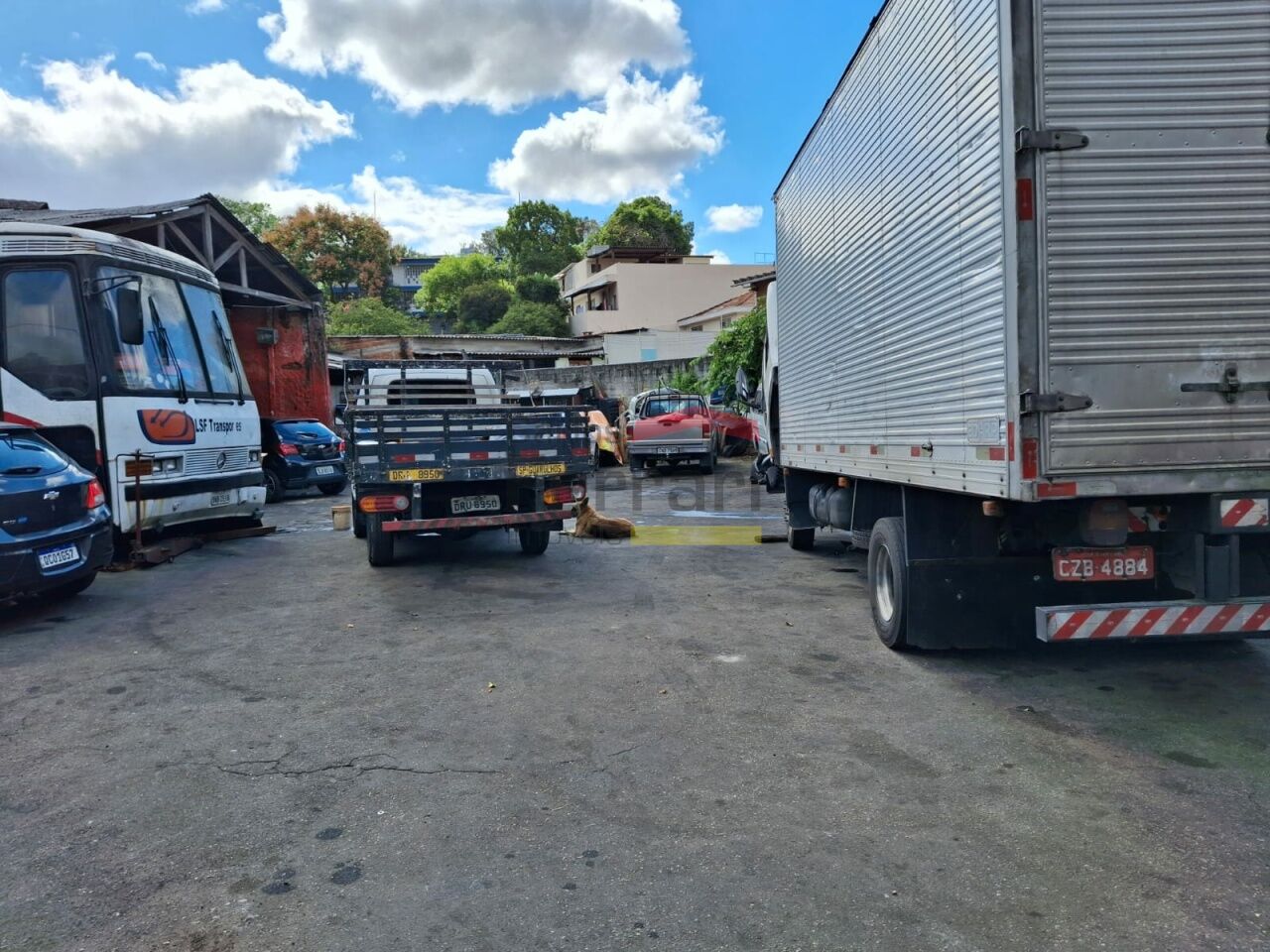 Foto 6