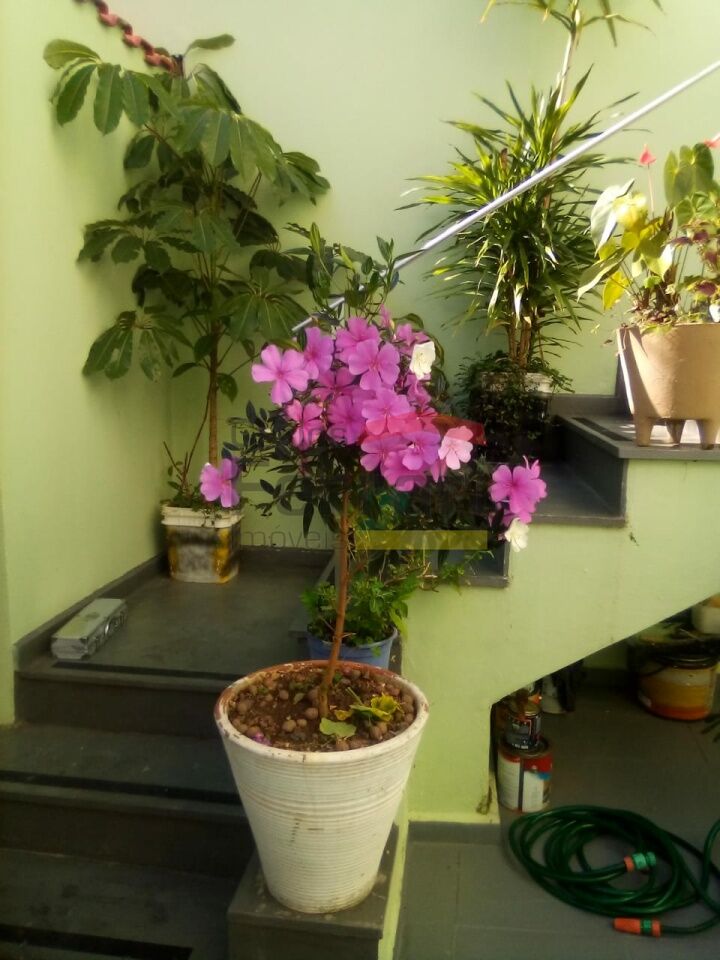 Foto 33