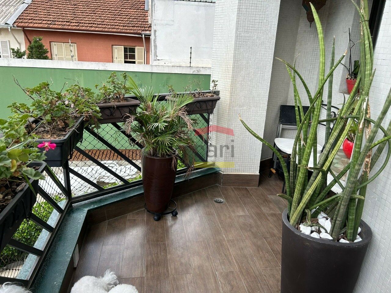 Foto 42