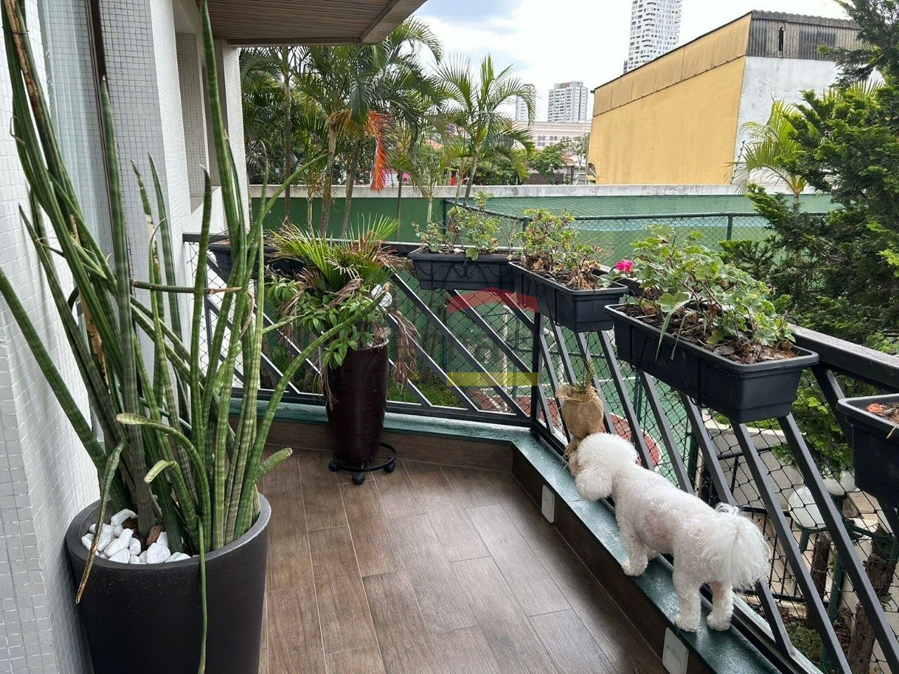 Foto 41