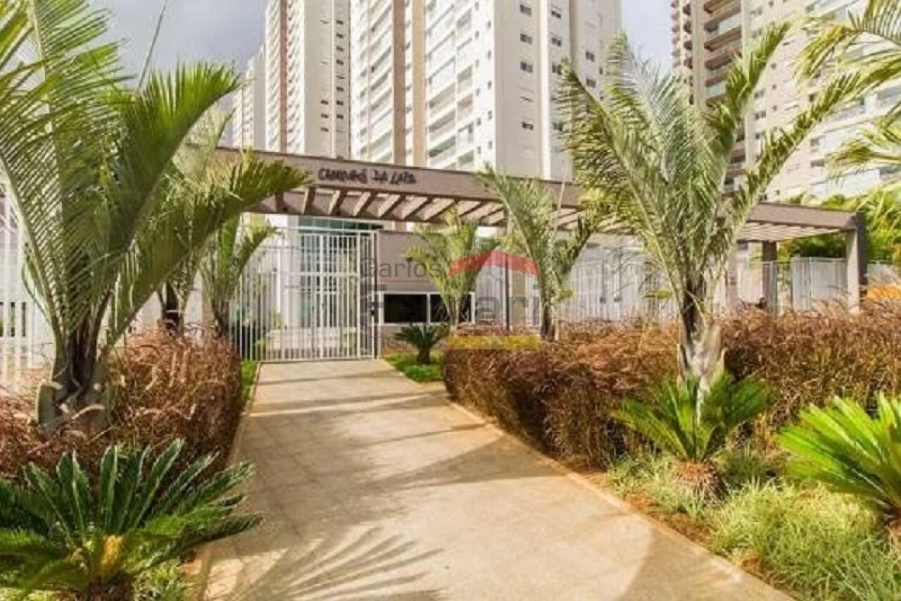Foto 31