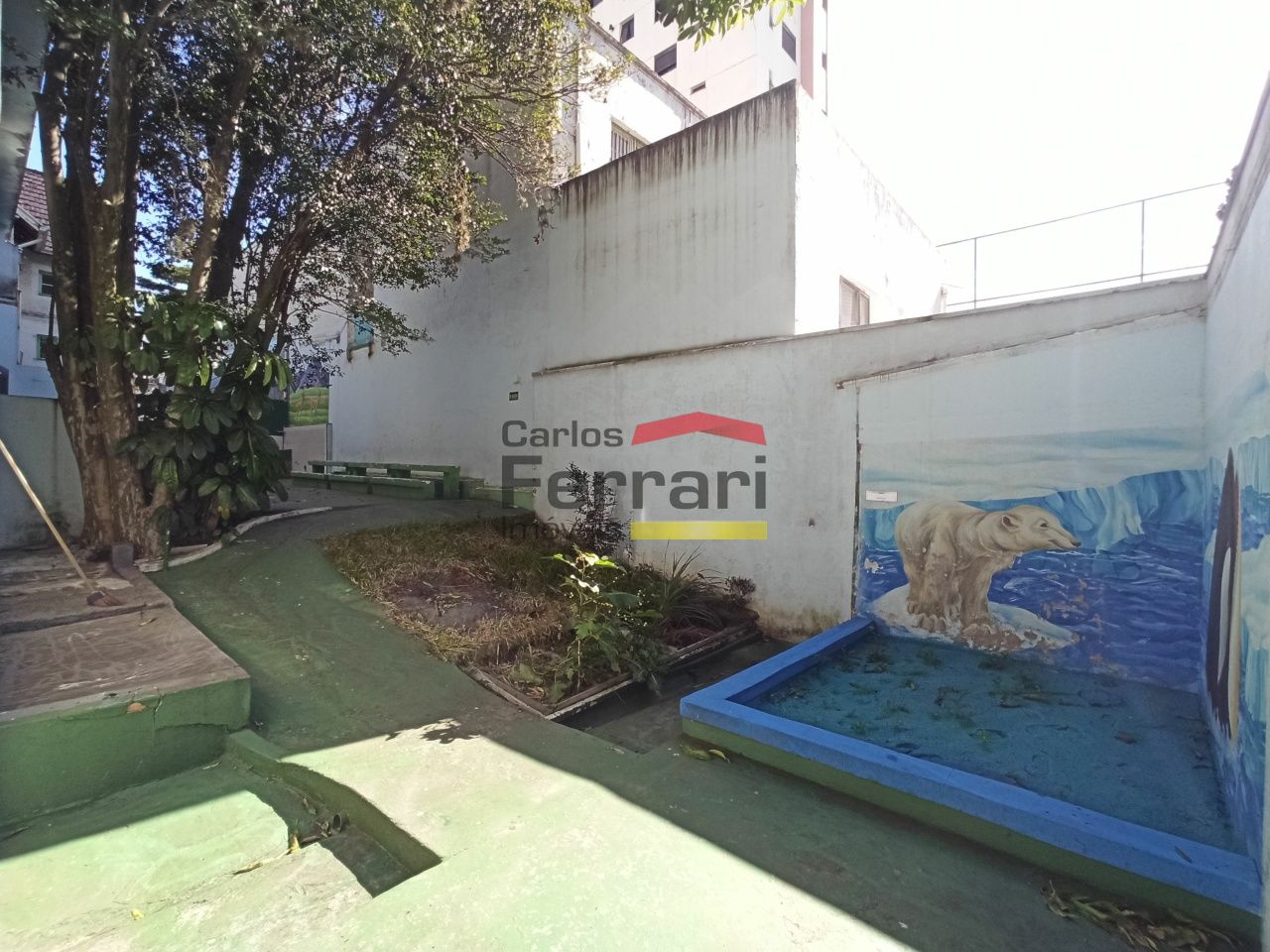 Foto 8