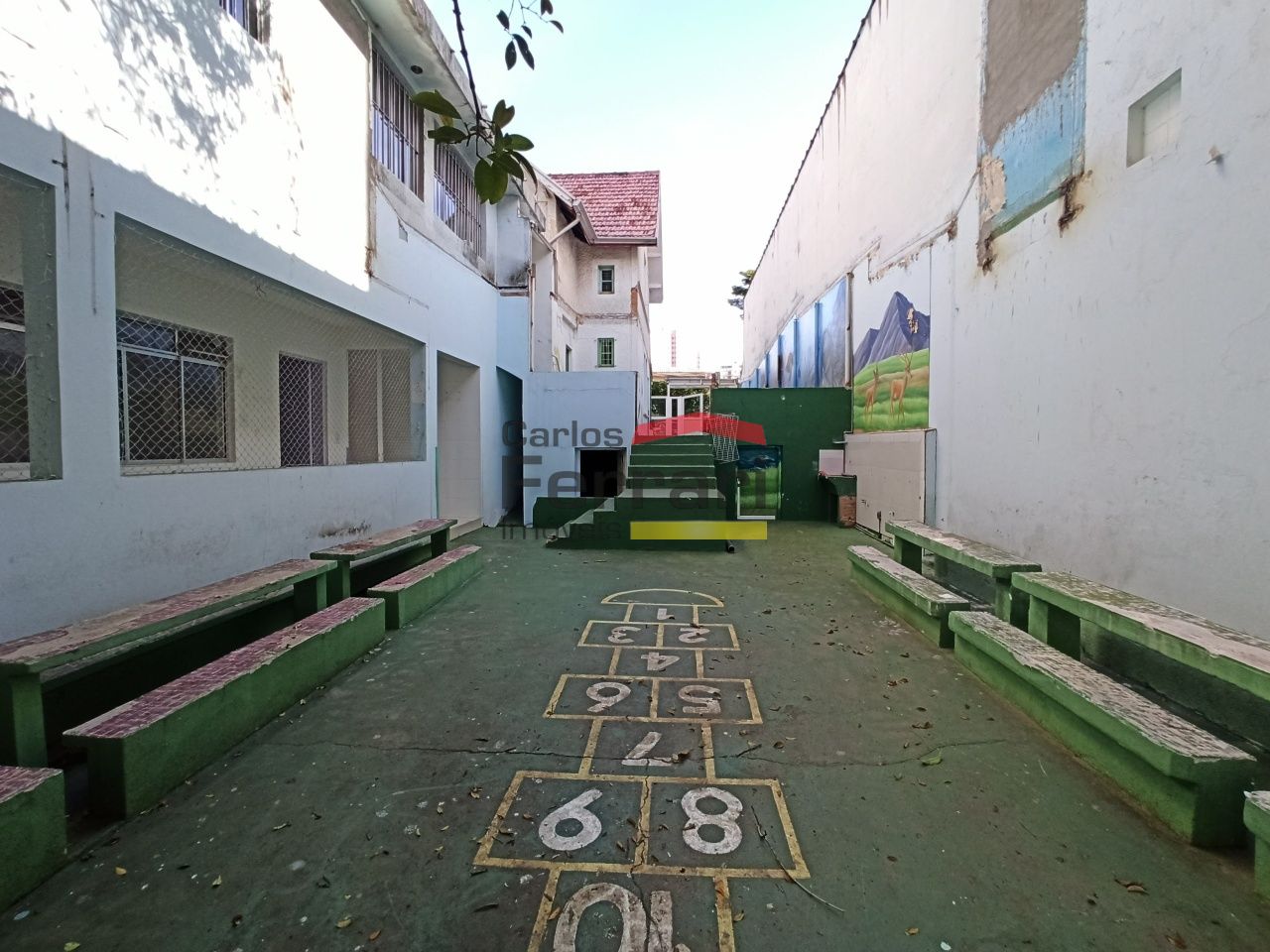 Foto 7