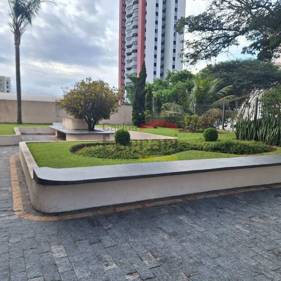 Foto 31