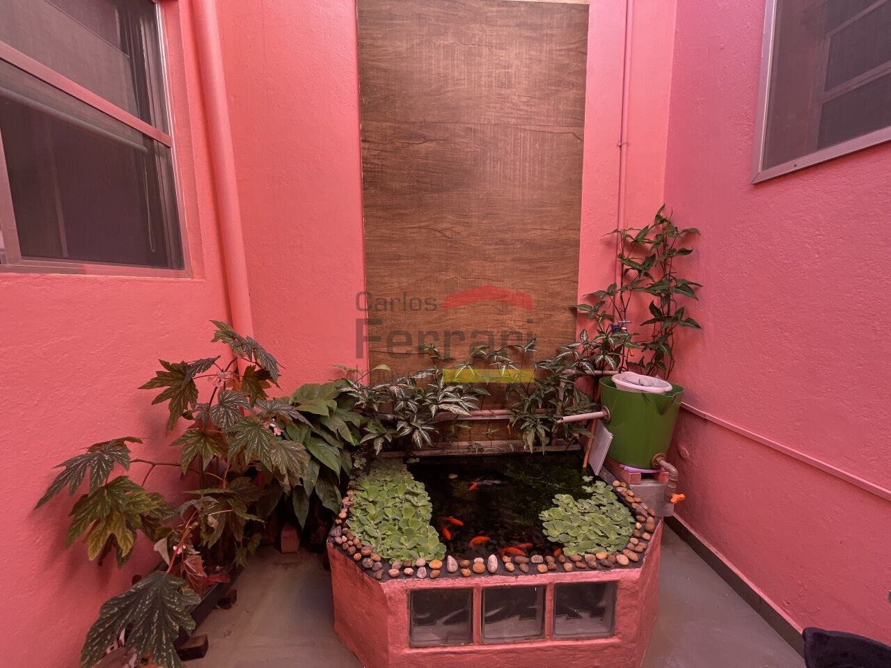 Foto 13