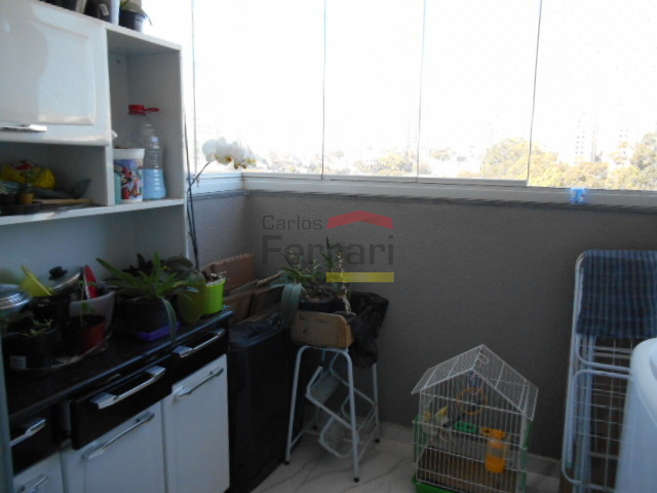 Foto 11