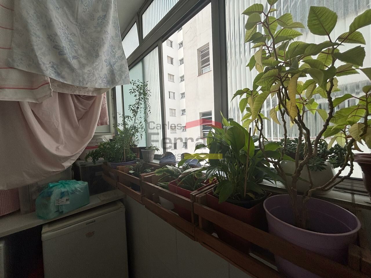 Foto 23