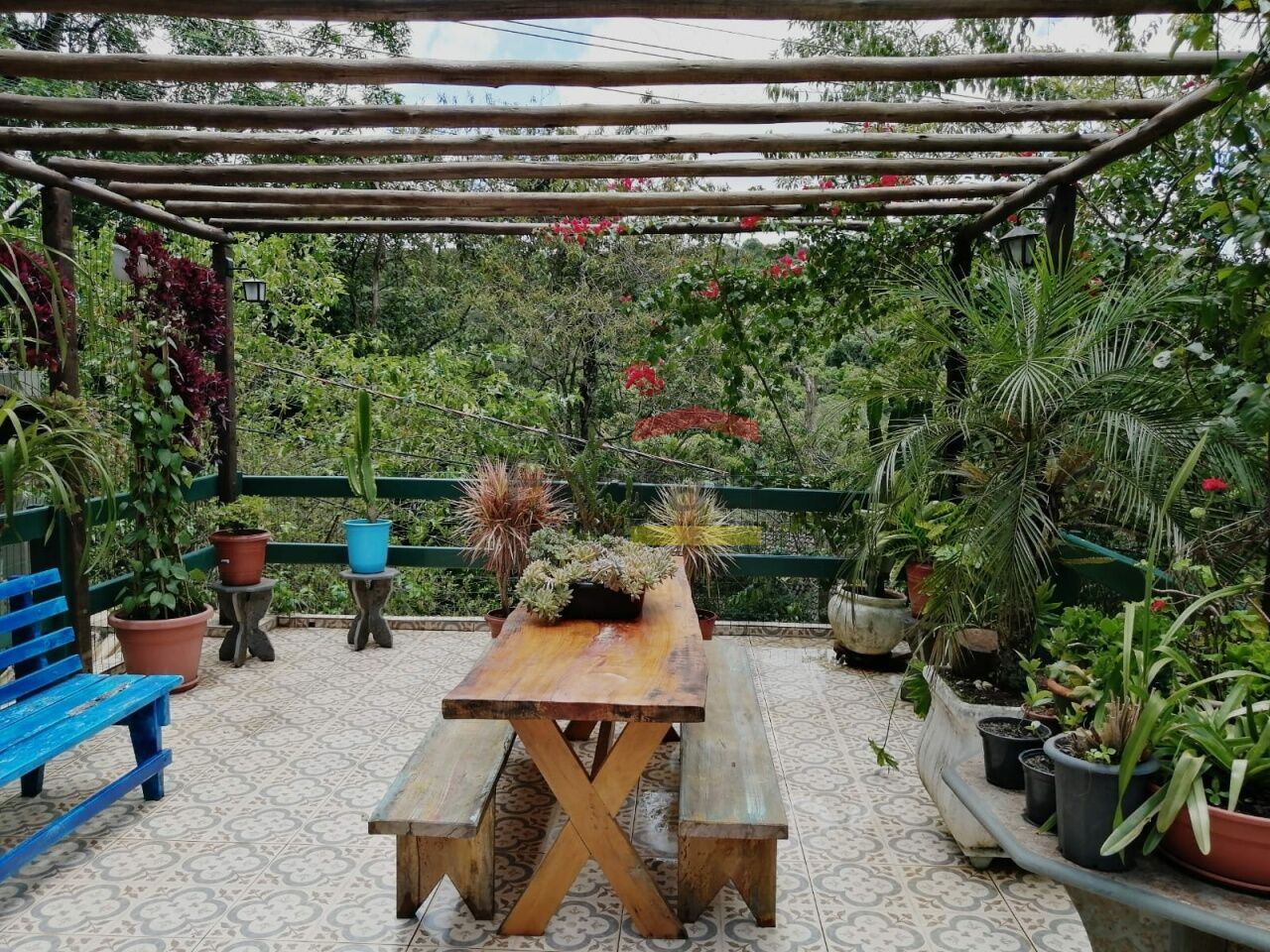 Foto 15