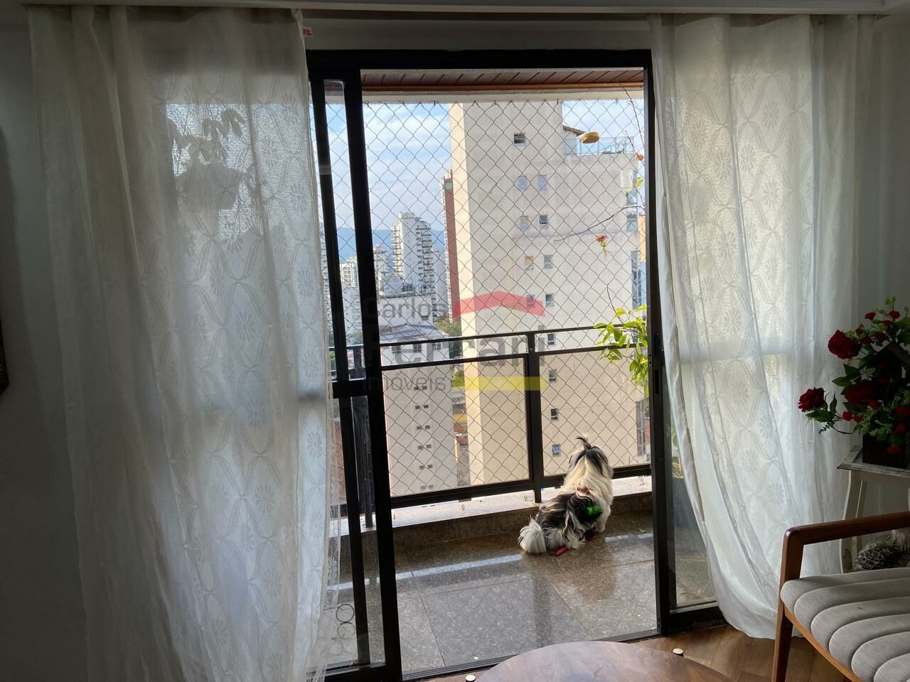 Foto 25