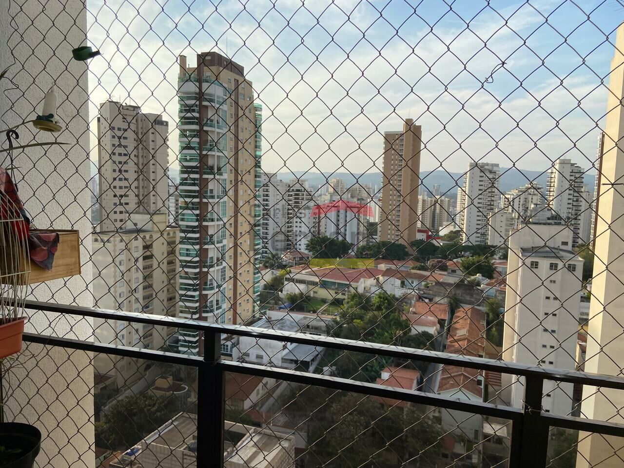Foto 35