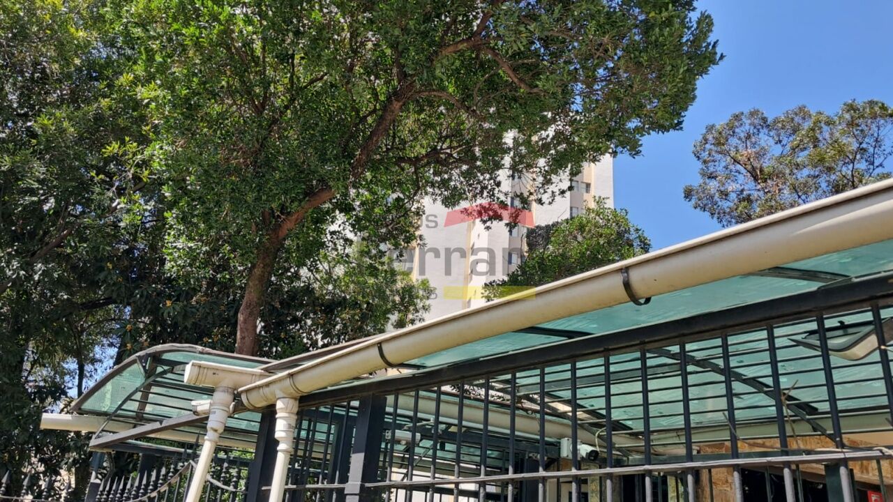 Foto 20