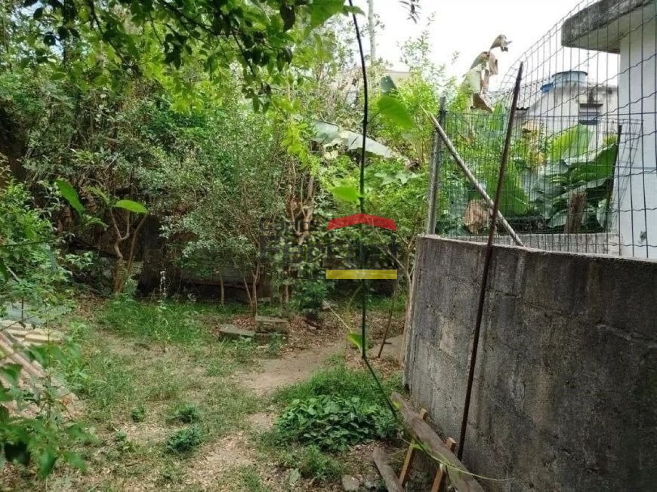 Foto 7