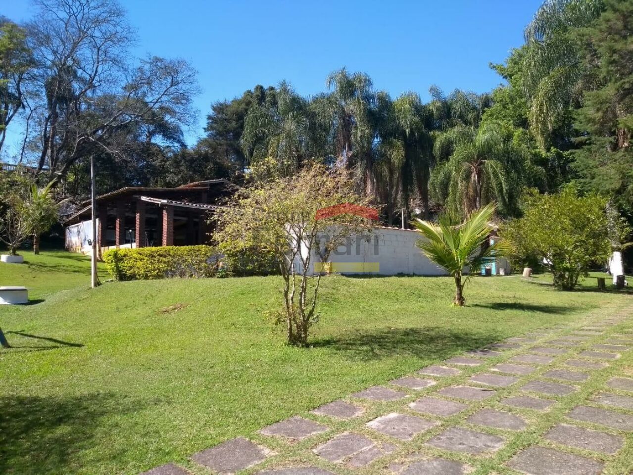 Foto 7