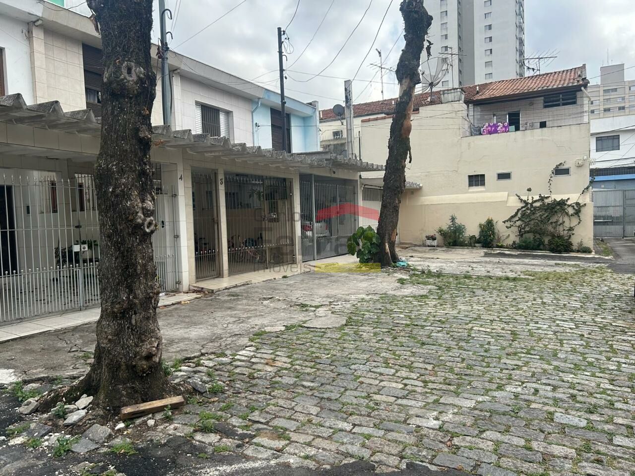 Foto 20