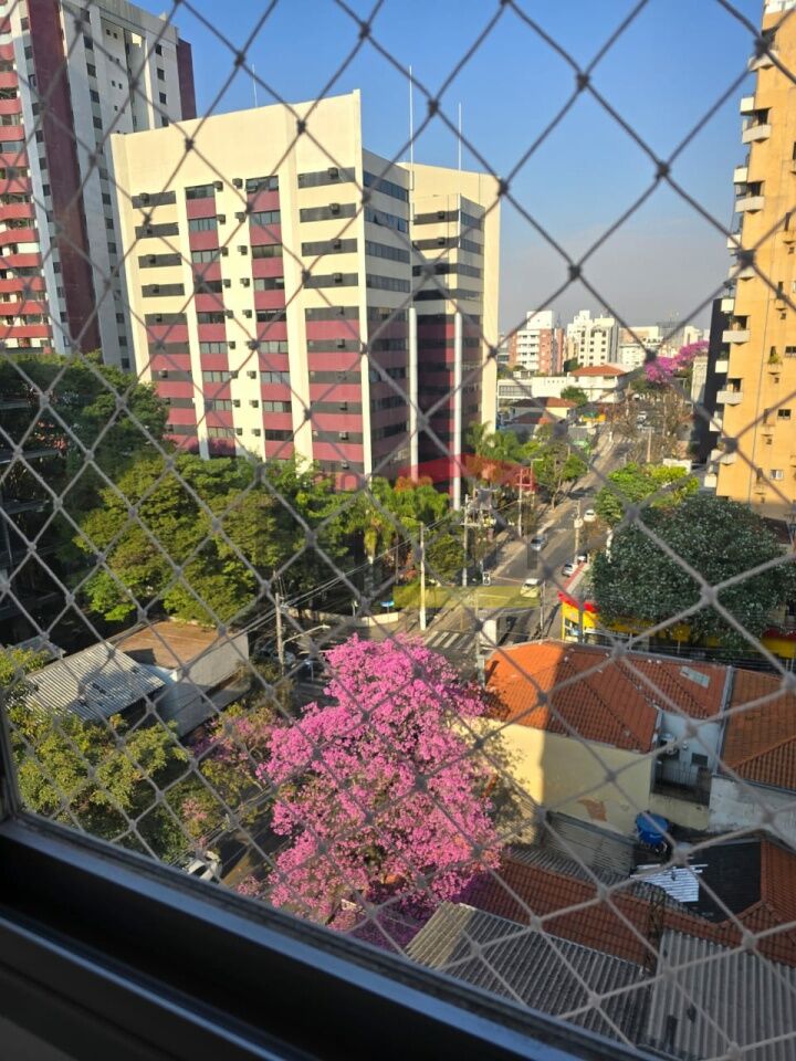 Foto 41