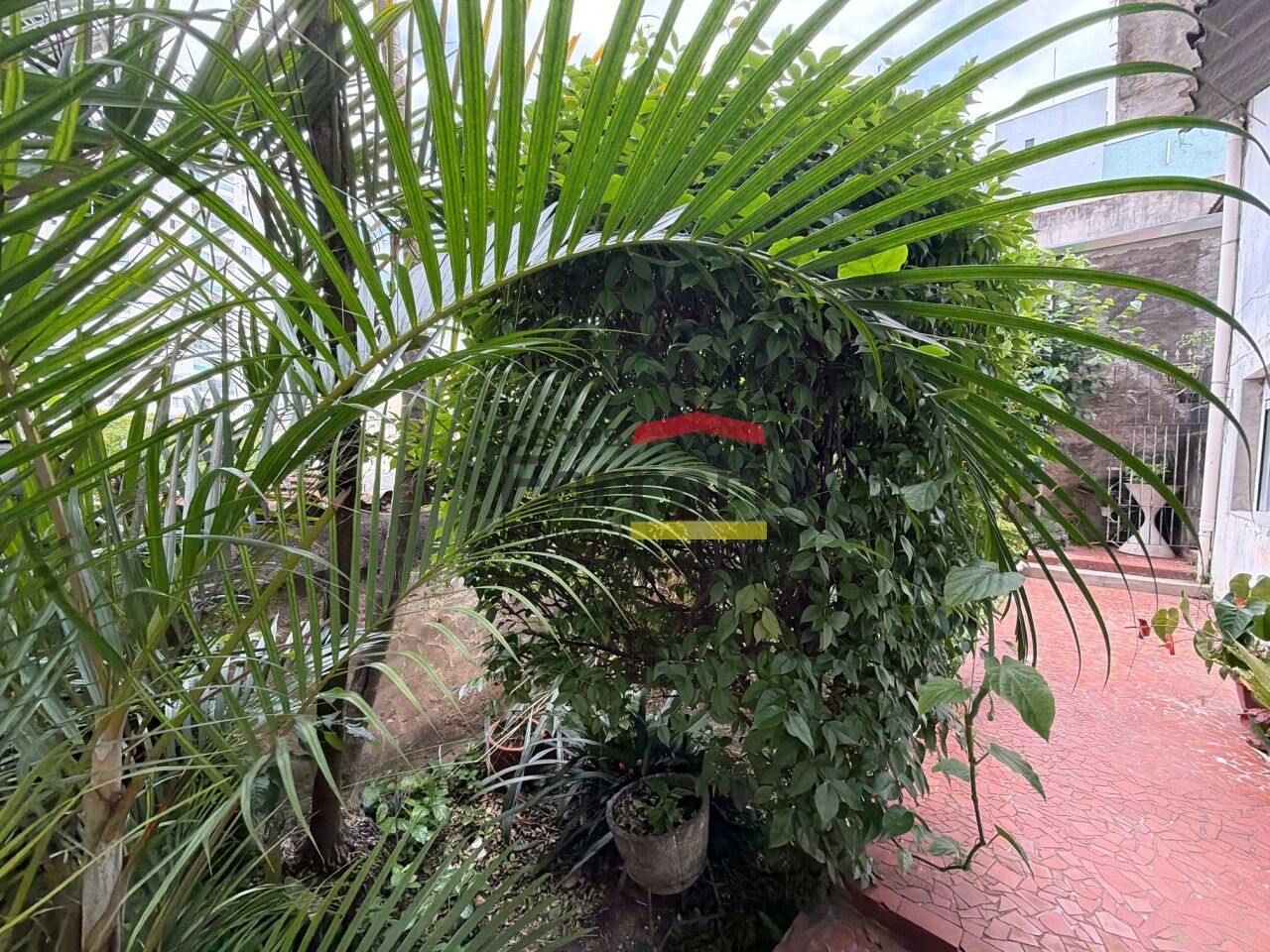 Foto 8