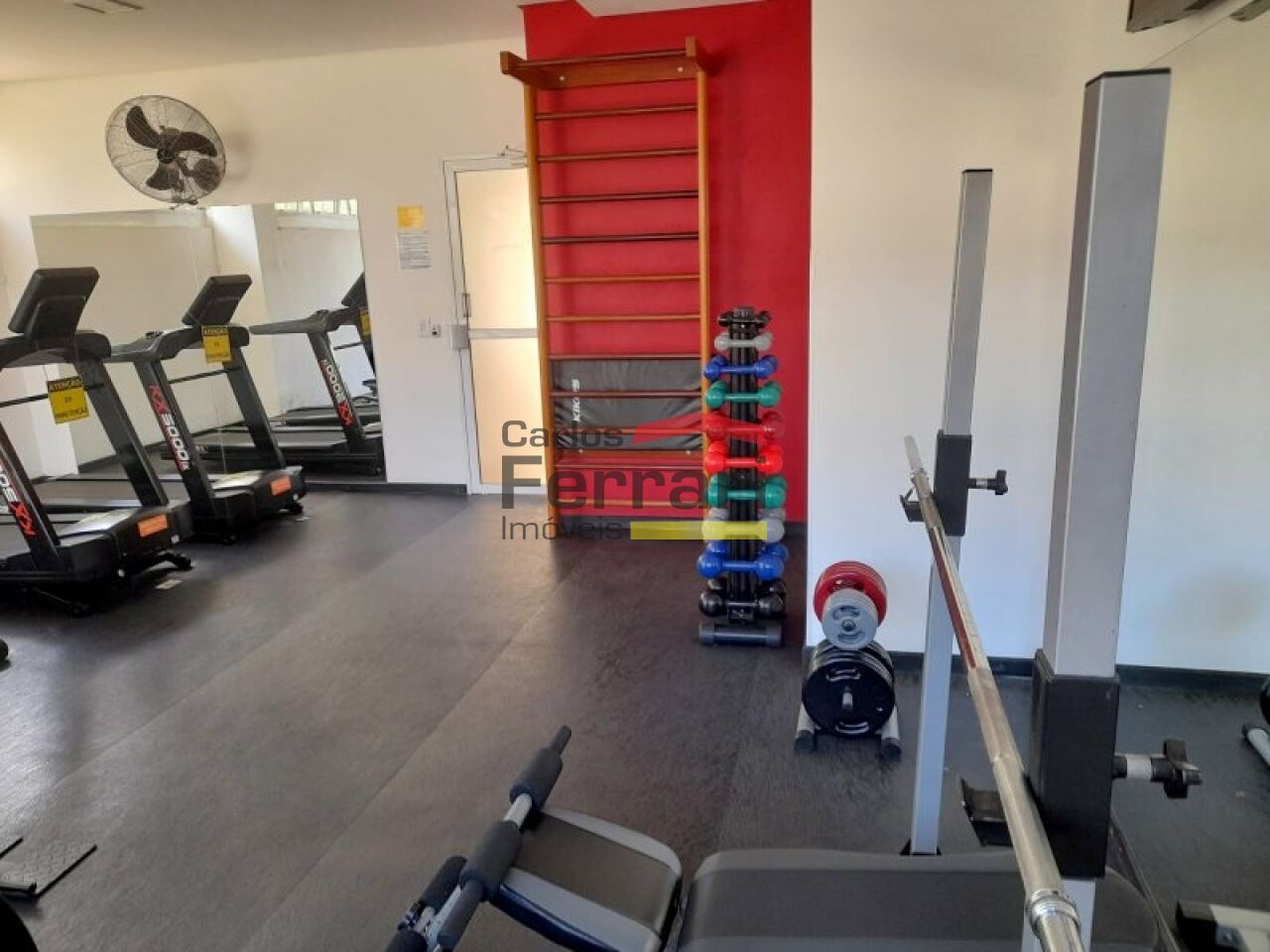 Foto 19