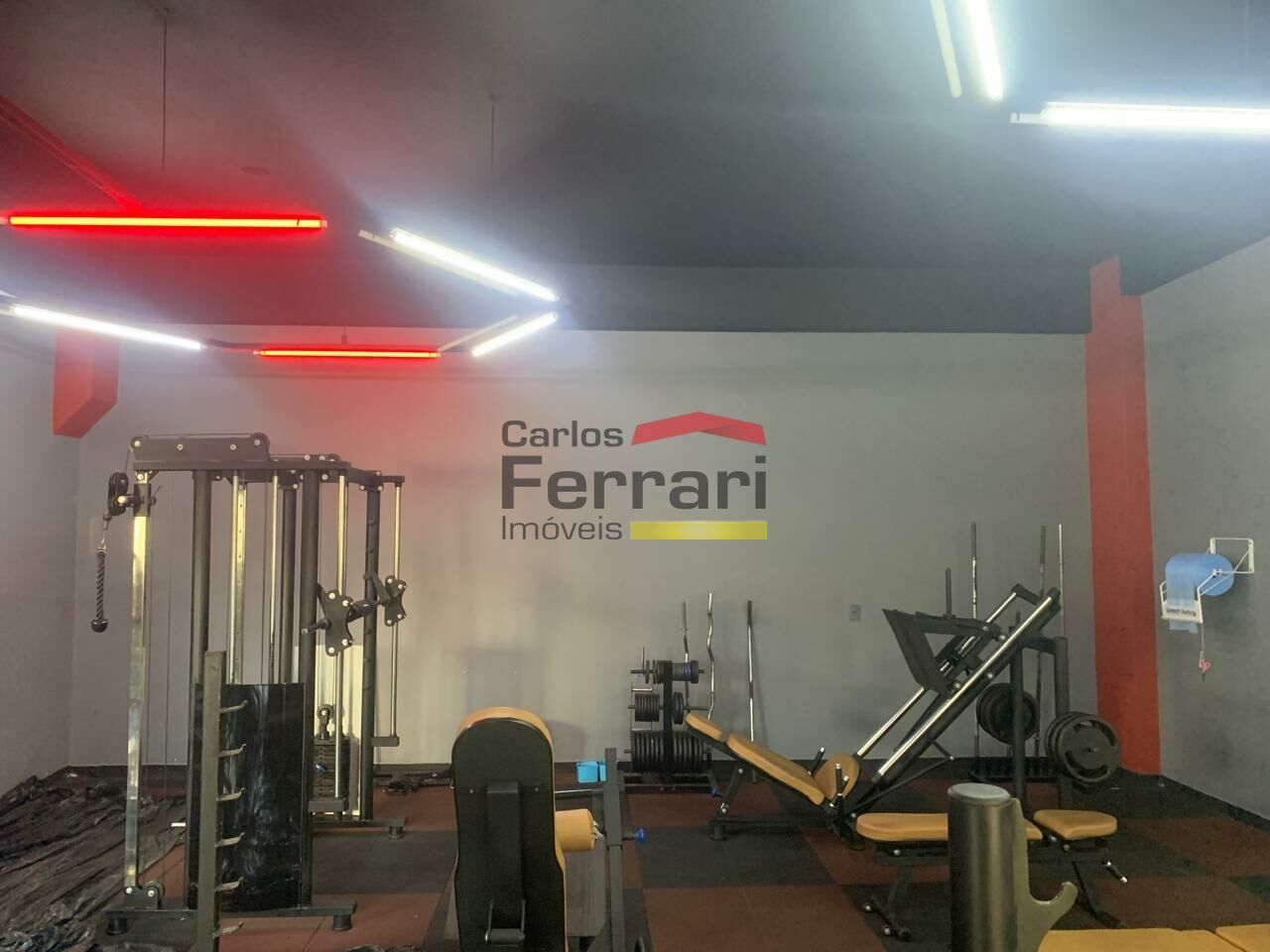 Foto 12