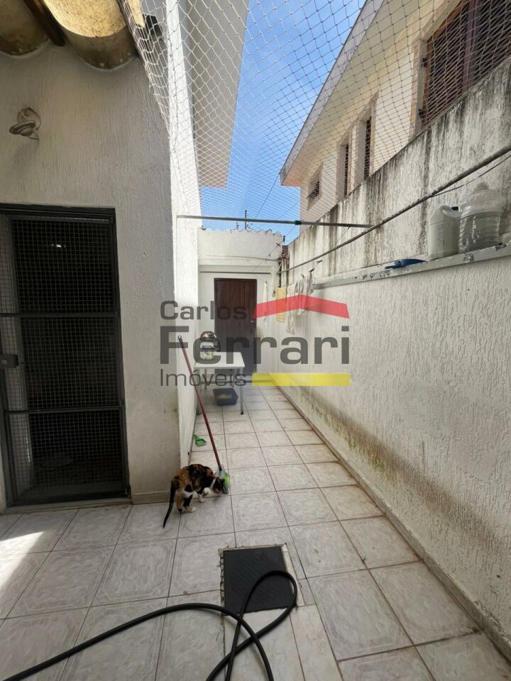 Foto 19
