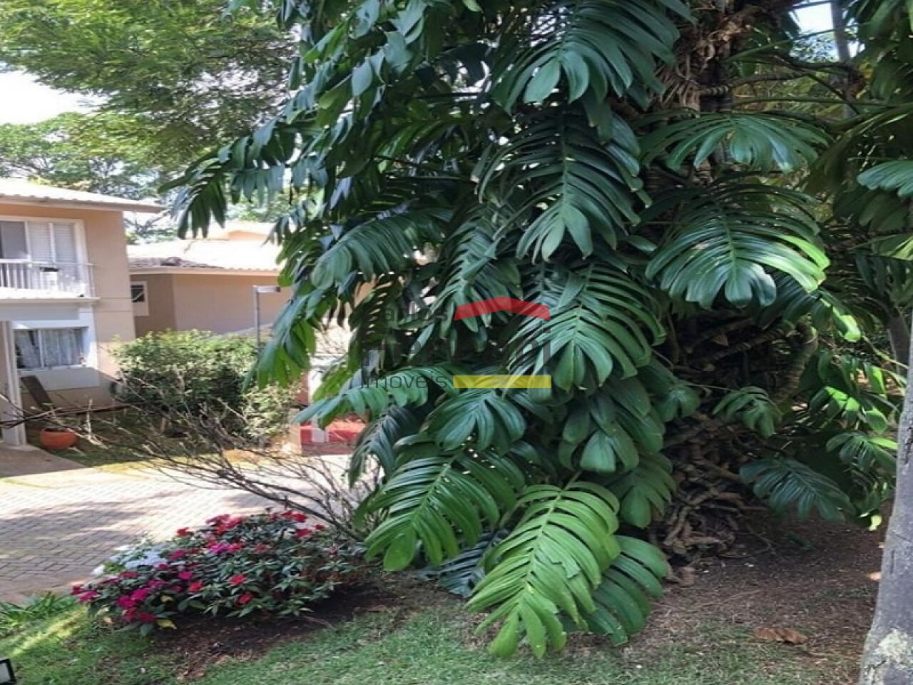 Foto 24