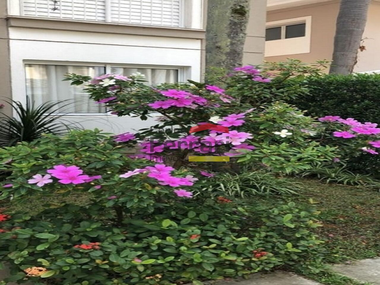 Foto 28
