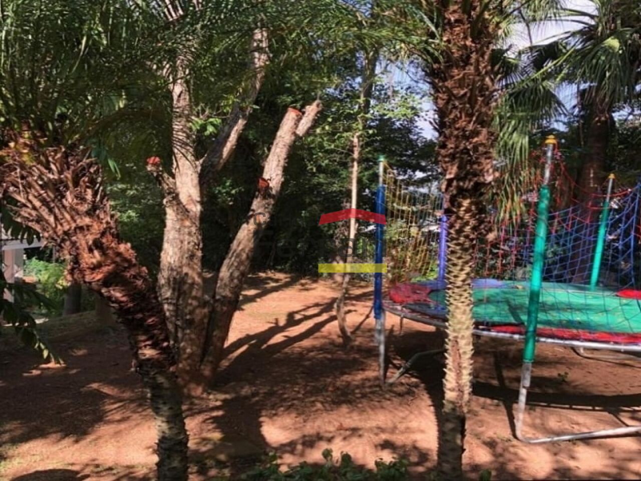 Foto 23