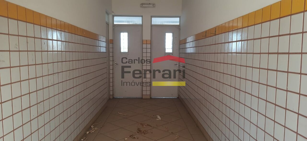 Foto 42