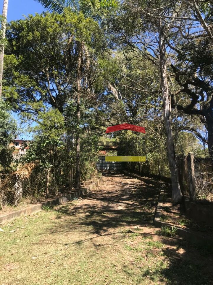 Foto 19