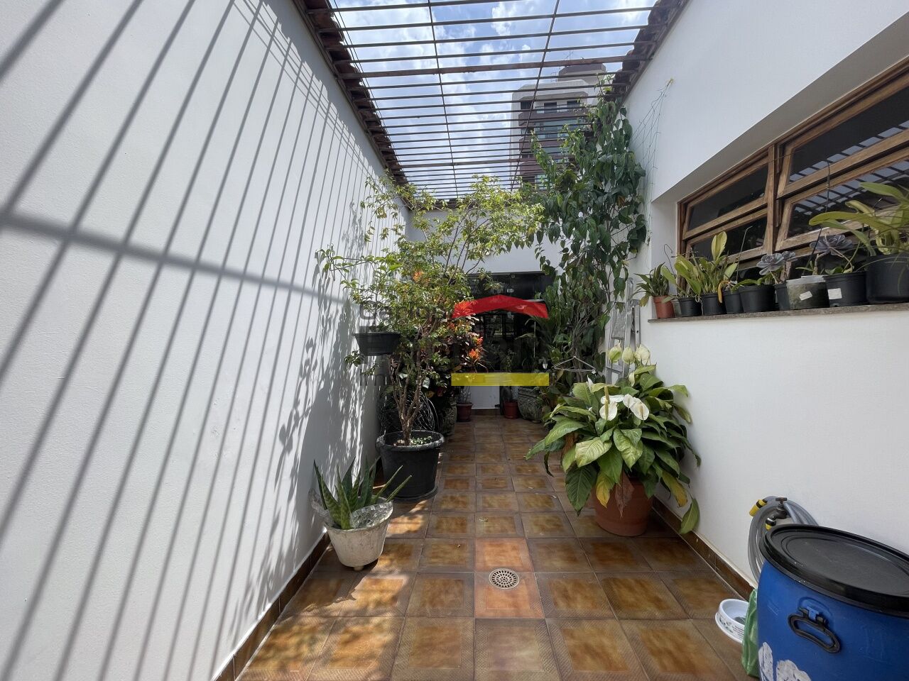 Foto 20