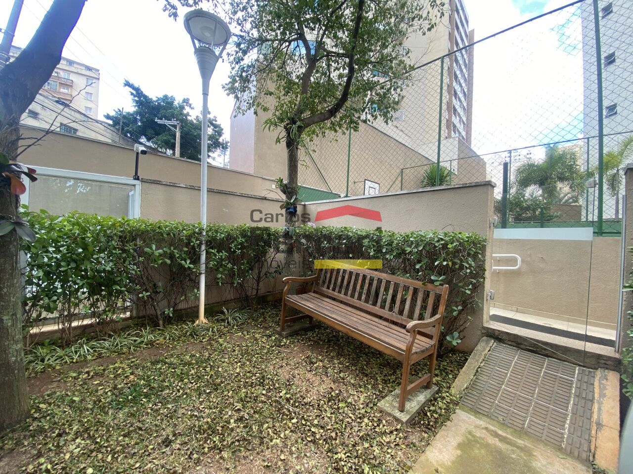 Foto 41