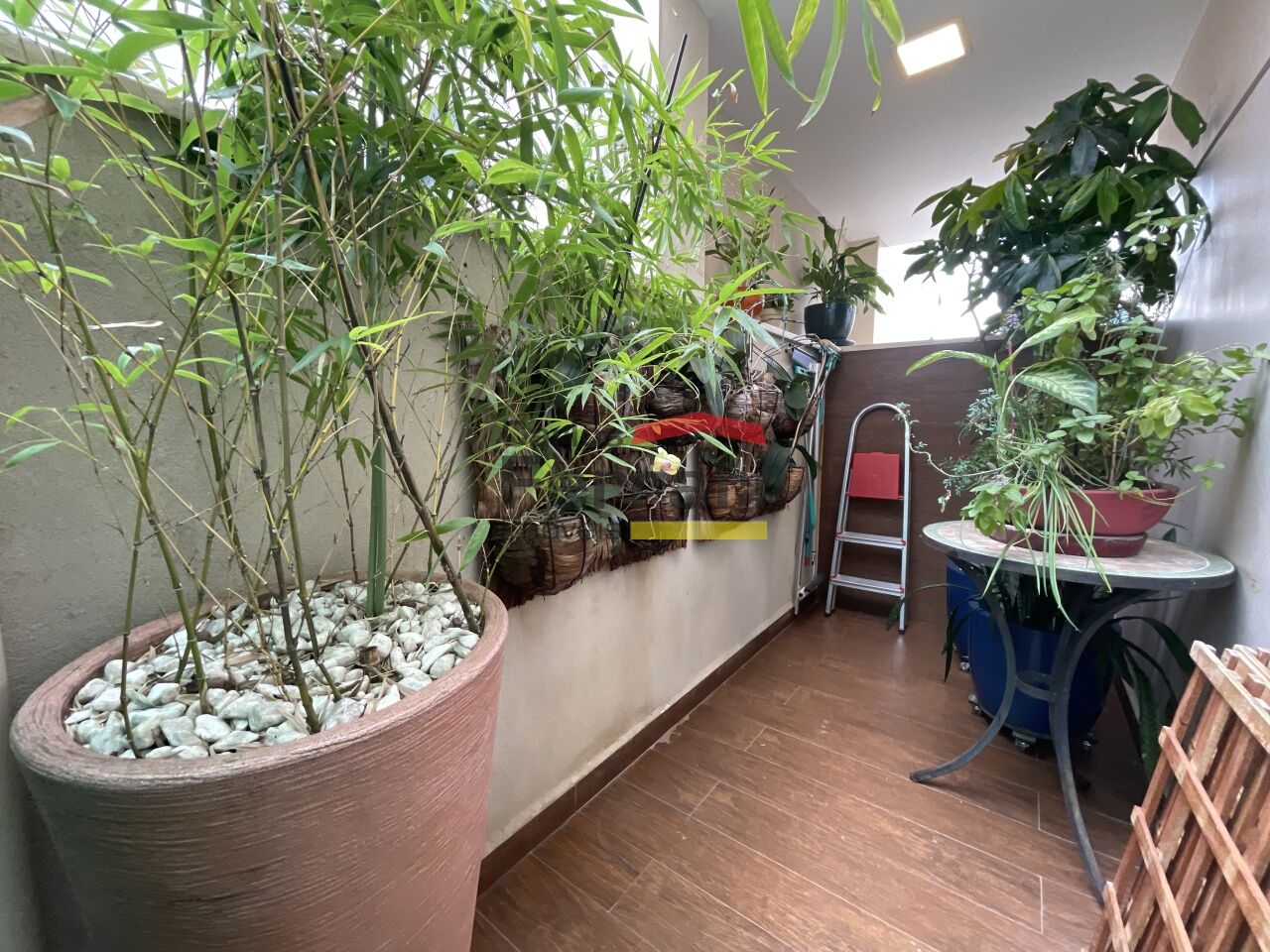 Foto 22