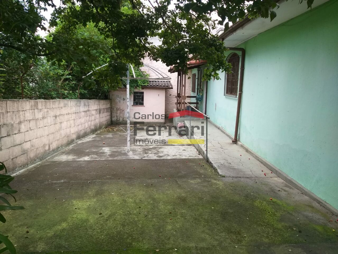 Foto 7