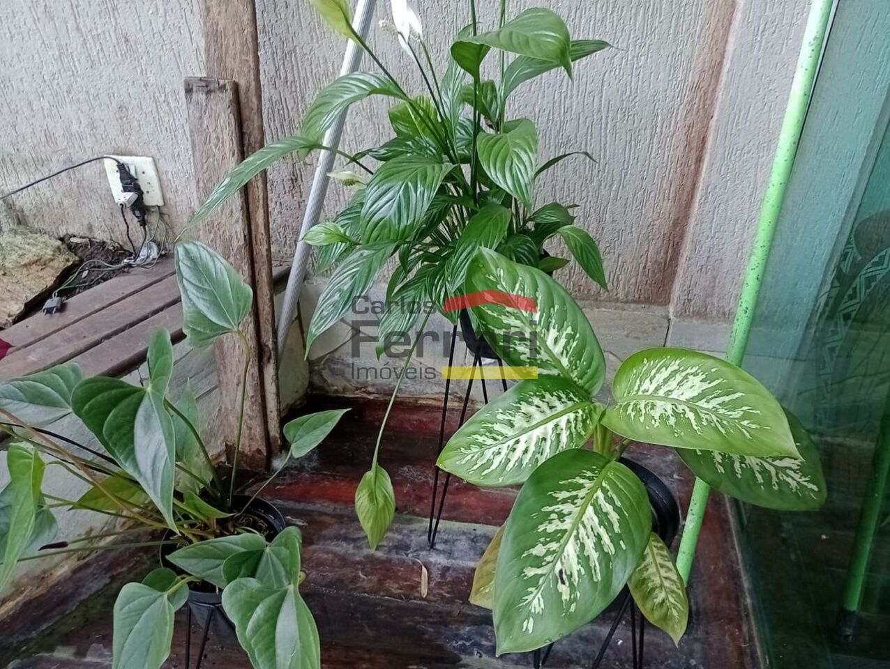 Foto 25