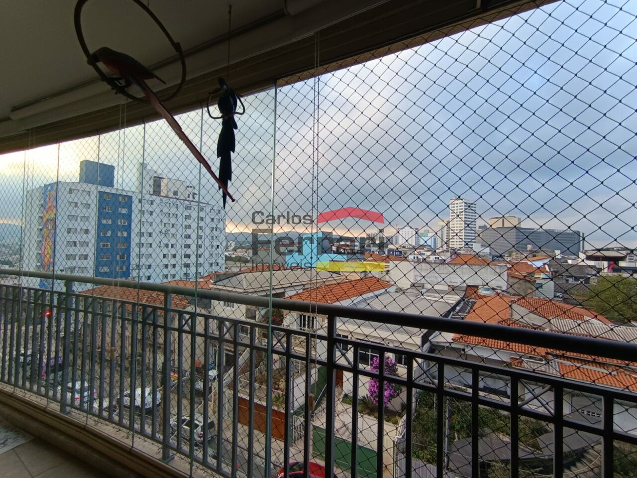 Foto 7