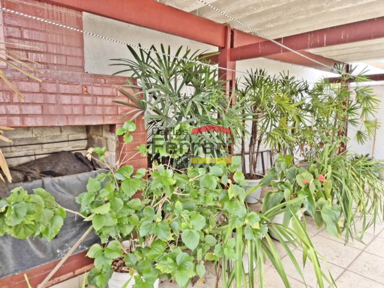 Foto 35