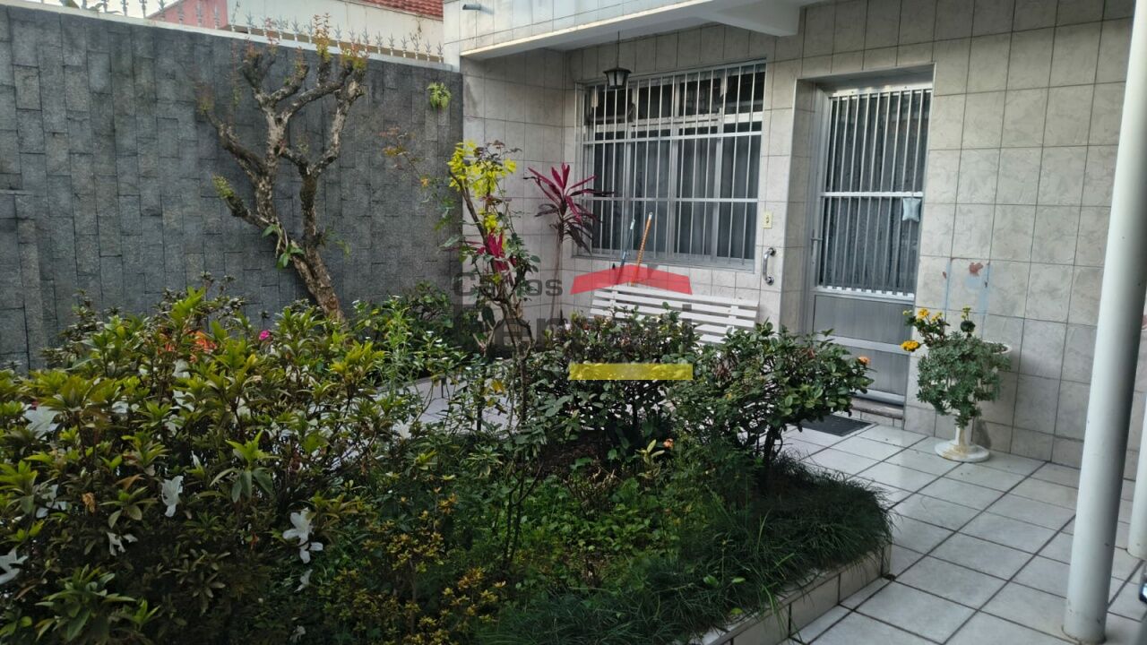 Foto 41