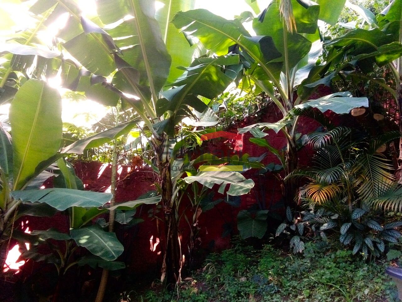 Foto 8