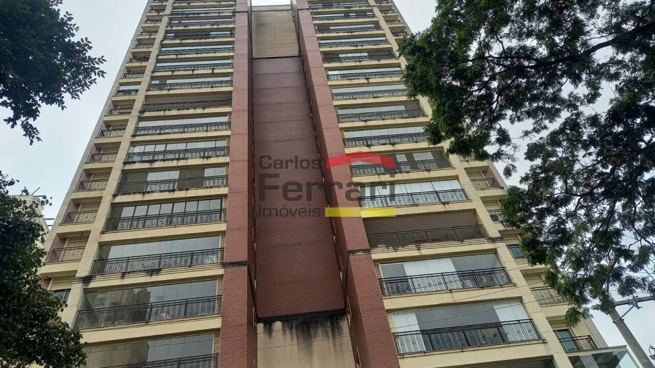 Foto 41