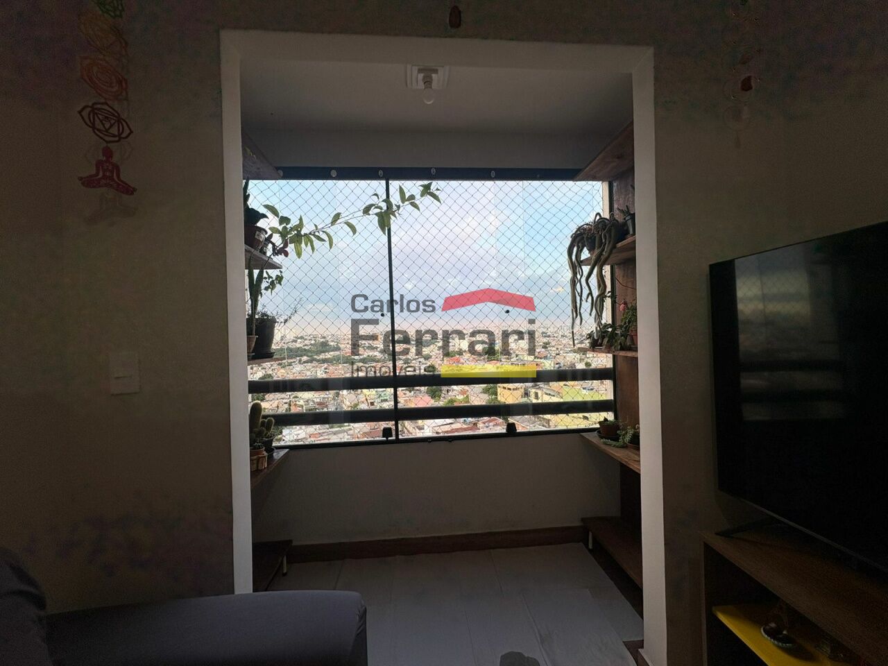 Foto 6