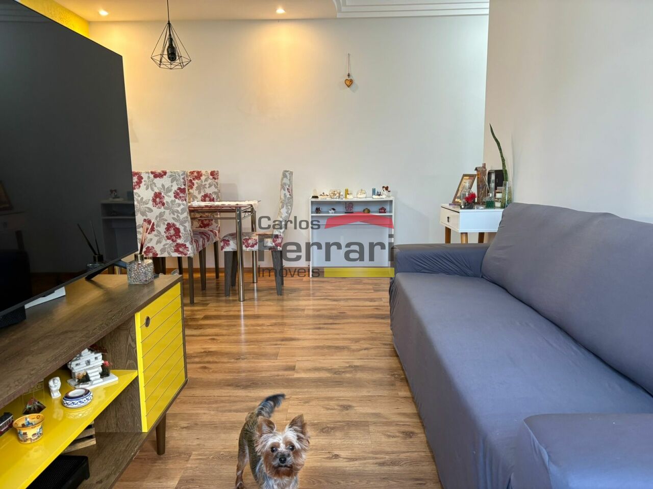 Foto 1