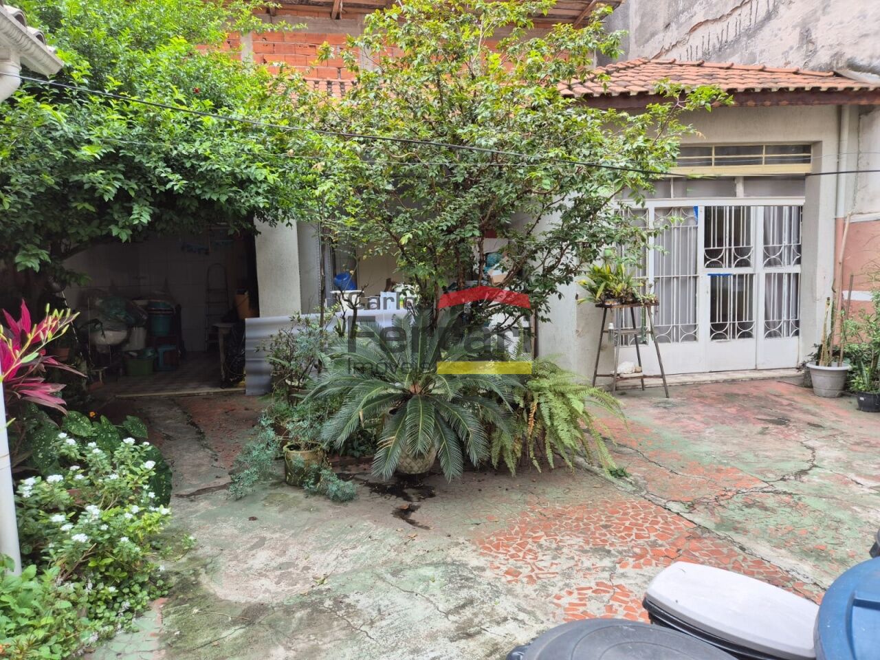 Foto 0