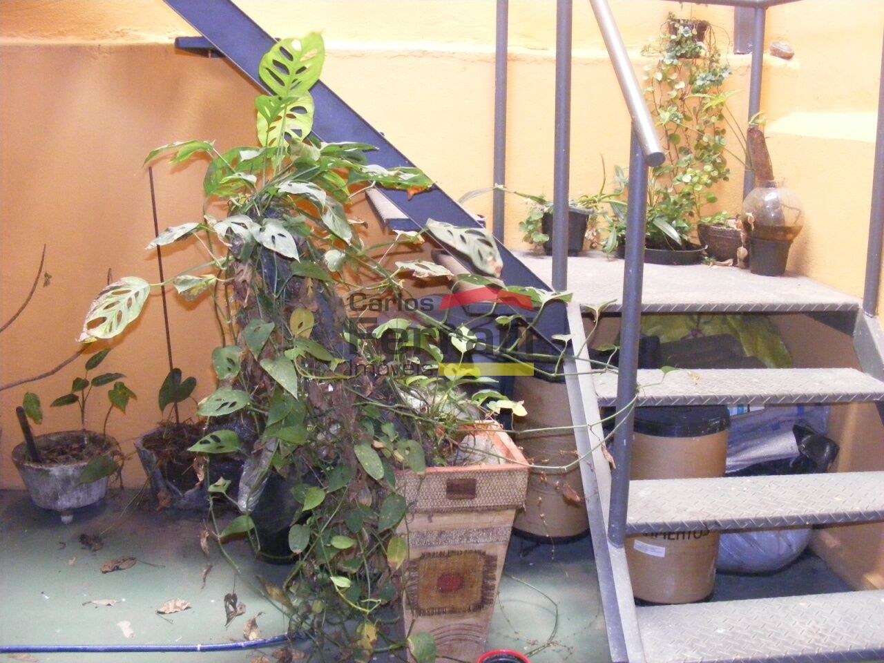 Foto 14