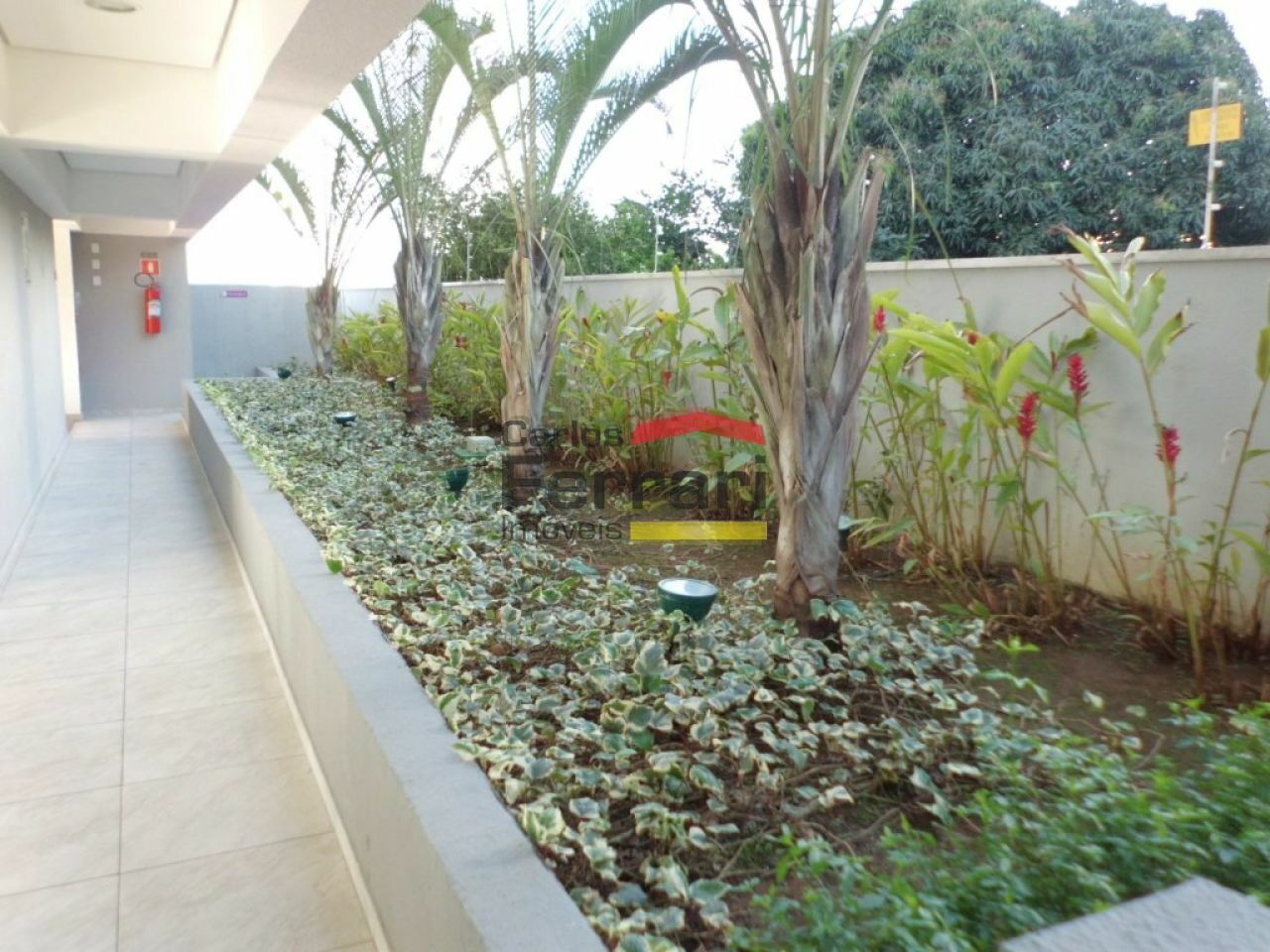 Foto 41